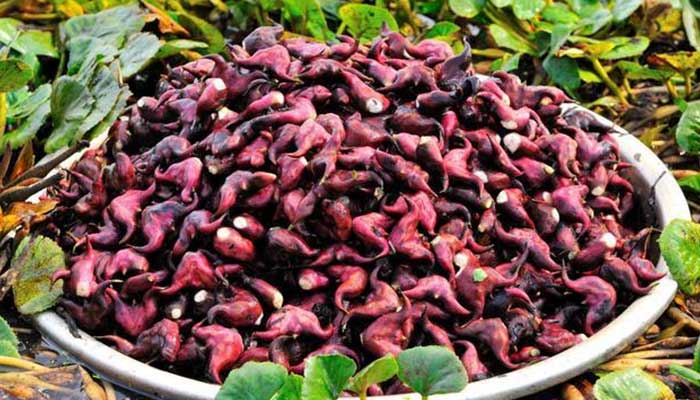 ��ǵĹ�Ч������ ���ͼƬ